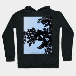 Blue Tree Silhouette Hoodie